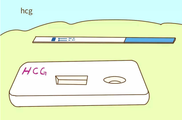 胎兒性別檢測試紙準(zhǔn)嗎 如何看胎兒的性別 胎兒性別檢測試紙準(zhǔn)嗎 如何看胎兒的性別