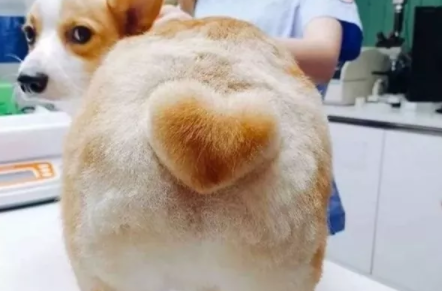 寶寶冬季皮膚護理大全  2018冬季寶寶皮膚護理方法