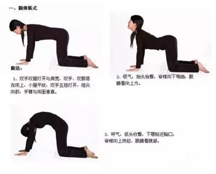 備孕期間練瑜伽會影響著床嗎 哪些瑜伽動作有助于受孕