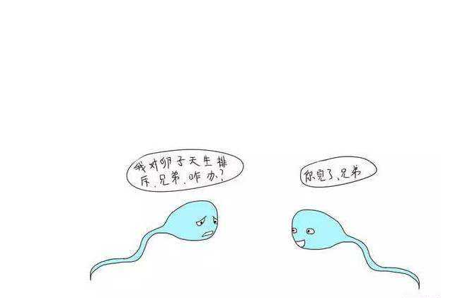 為什么患上免疫性不孕癥 如何預防免疫性不孕 為什么患上免疫性不孕癥 如何預防免疫性不孕