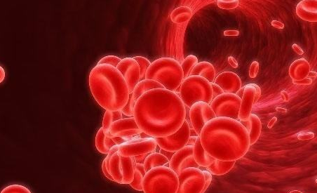 哺乳期貧血怎么補 哺乳期貧血補血方法 哺乳期貧血怎么補 哺乳期貧血補血方法