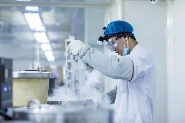 胎盤到底能不能吃呢 生完孩子胎盤是怎么處理的