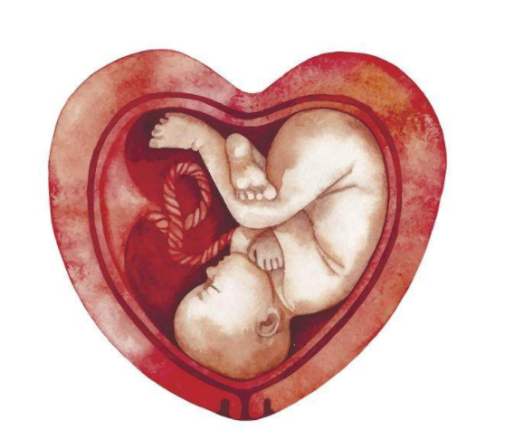 胎盤到底能不能吃呢 生完孩子胎盤是怎么處理的