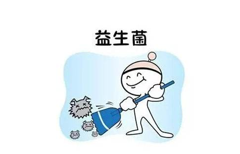 益生菌可以治療便秘嗎 益生菌什么時候吃好