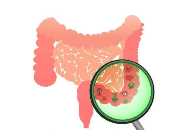 益生菌可以治療便秘嗎 益生菌什么時候吃好