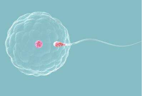 懷孕發現是生化妊娠是怎么回事 生化妊娠有什么癥狀