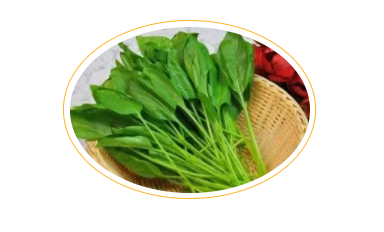 寶寶視力不好吃什么好 寶寶視力不好食物推薦 寶寶視力不好吃什么好 寶寶視力不好食物推薦