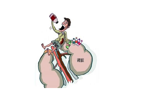 腎囊腫是怎么引起的 如何在日常飲食中預防腎囊腫