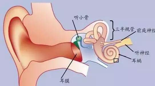 寶寶經(jīng)常抓耳朵怎么辦  寶寶抓耳朵的原因