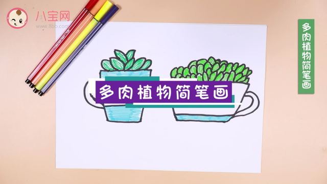 多肉植物簡筆畫視頻   多肉植物簡筆畫步驟