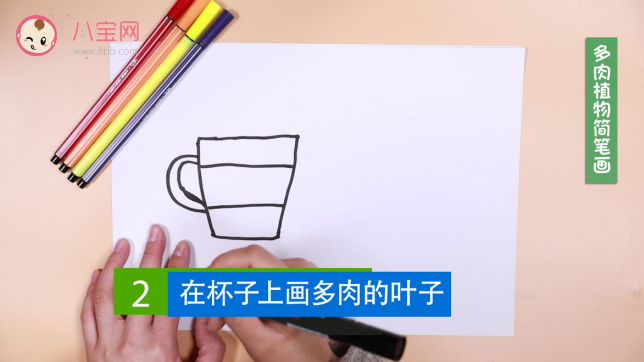 多肉植物簡筆畫視頻   多肉植物簡筆畫步驟