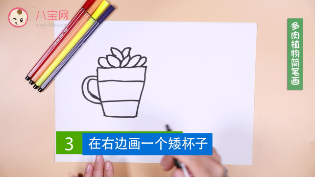 多肉植物簡筆畫視頻   多肉植物簡筆畫步驟
