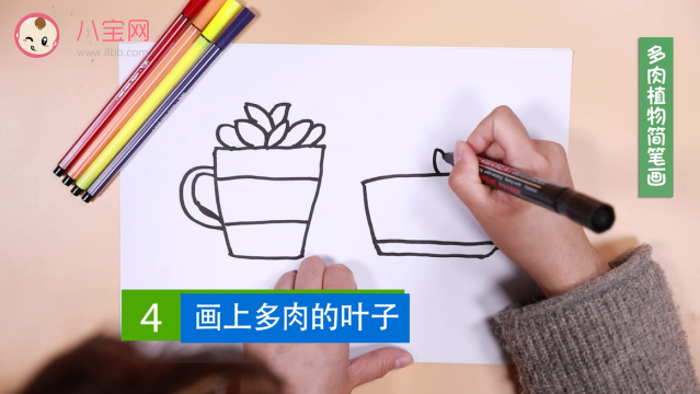 多肉植物簡筆畫視頻   多肉植物簡筆畫步驟