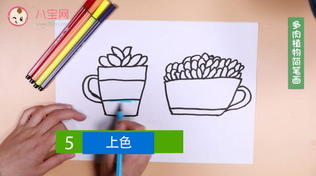 多肉植物簡筆畫視頻   多肉植物簡筆畫步驟