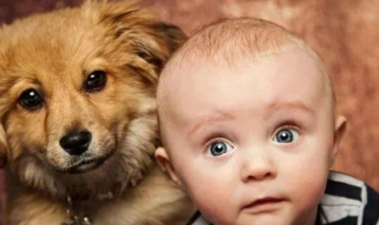 剃光頭可以讓頭發變好嗎 寶寶什么時候可以剃光頭 剃光頭可以讓頭發變好嗎 寶寶什么時候可以剃光頭