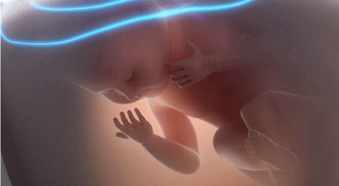 臍帶脫垂是什么意思 如何預防臍帶脫垂