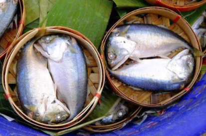 寶寶補充DHA有什么好處  補充DHA作用介紹