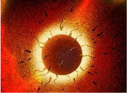 男性精子里帶血是怎么回事 精液里帶血應該怎么治療 男性精子里帶血是怎么回事 精液里帶血應該怎么治療