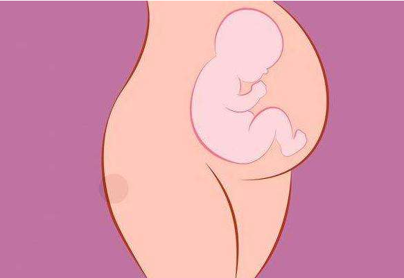 胎兒偏小是發(fā)育遲緩嗎 胎兒偏小會(huì)影響預(yù)產(chǎn)期嗎