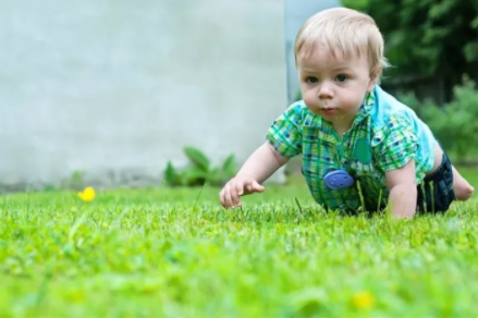 寶寶爬行怎么訓(xùn)練   寶寶爬行訓(xùn)練方法