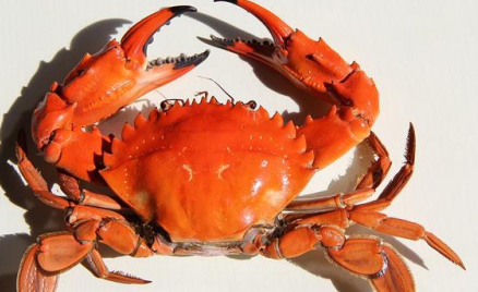 孕婦哪些東西不能吃 有什么禁忌