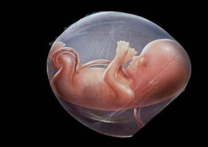 羊水渾濁會怎么樣 孕婦如何預(yù)防羊水渾濁