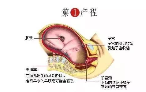 生孩子時該怎樣用力 生孩子不會使勁怎么辦