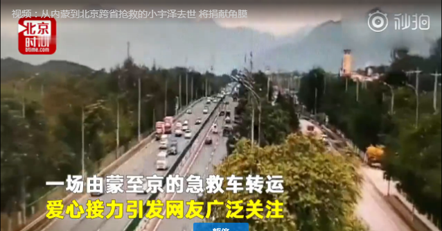 小宇澤去世是怎么回事 小宇澤是怎么去世的