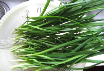 孕婦濕疹吃什么好    調(diào)理濕疹食物推薦