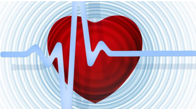 寶寶什么時(shí)候開始有心跳的 胎兒心臟發(fā)育過程