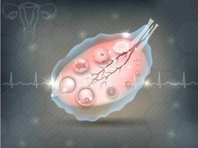 女性卵子是什么樣的 女性一個月排幾個卵子 女性卵子是什么樣的 女性一個月排幾個卵子
