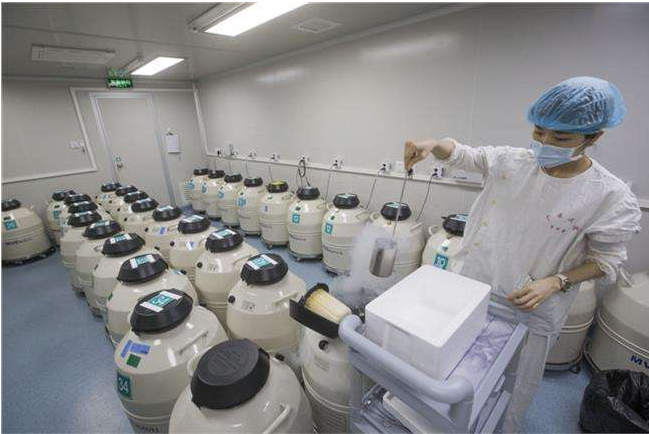 冷凍胚胎會(huì)影響試管嬰兒質(zhì)量嗎 冷凍胚胎可以保存多久