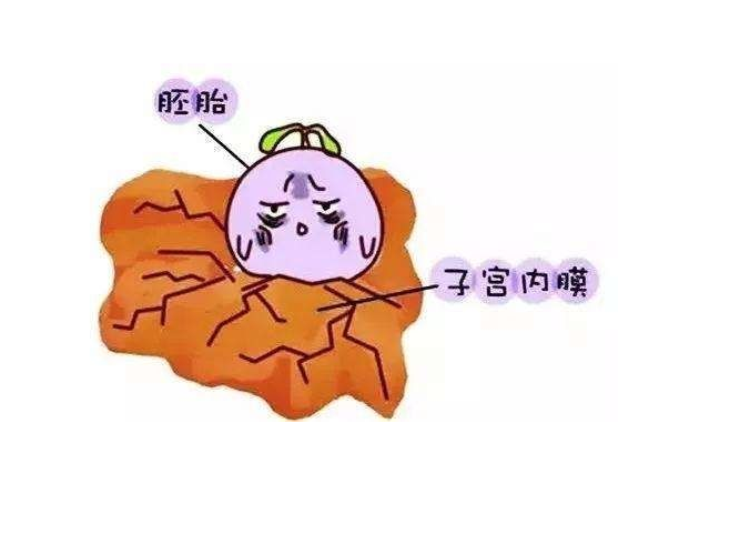 子宮內膜厚度多少容易懷孕 子宮內膜薄怎么辦 子宮內膜厚度多少容易懷孕 子宮內膜薄怎么辦