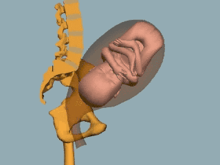 孕期恥骨痛是快生了嗎 孕期恥骨痛診斷