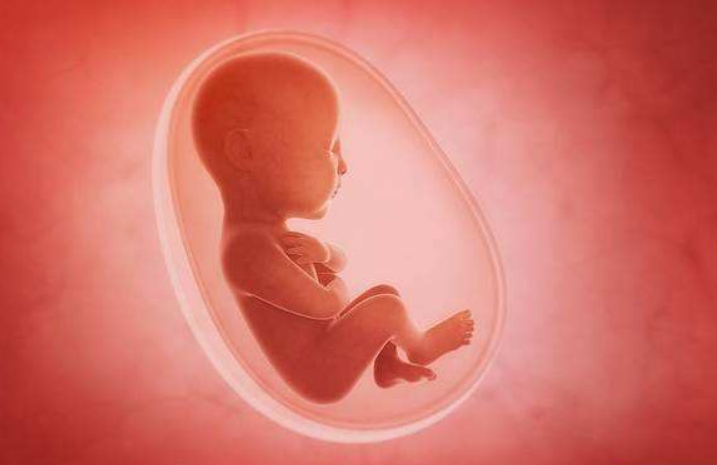 懷孕被撞到肚子怎么辦 懷孕被撞到肚子對寶寶有影響嗎 懷孕被撞到肚子怎么辦 懷孕被撞到肚子對寶寶有影響嗎