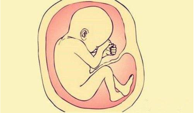 孕婦防輻射服管用嗎 孕婦防輻射服推薦 孕婦防輻射服管用嗎 孕婦防輻射服推薦