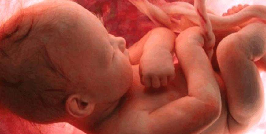 孕晚期胎動一跳一跳是怎么回事 肚子一跳一跳是胎兒在打嗝嗎 孕晚期胎動一跳一跳是怎么回事 肚子一跳一跳是胎兒在打嗝嗎