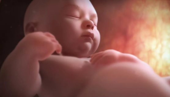 孕期同房對胎兒有哪些影響 孕期同房注意事項 孕期同房對胎兒有哪些影響 孕期同房注意事項