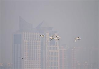 霧霾天帶娃出門要做哪些事情 孩子回家后應該如何護理