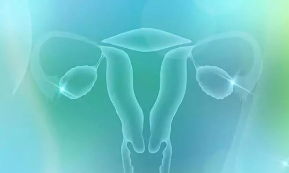 產后陰道炎怎么辦  產后陰道炎怎么治療