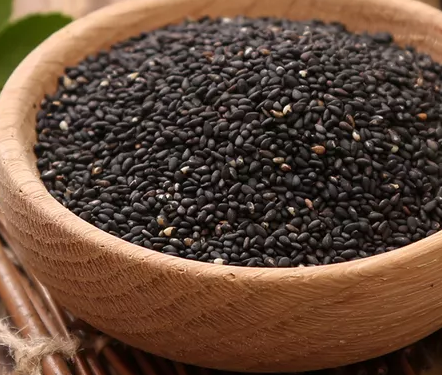 哪些食物補腎快 補腎的食物有哪些