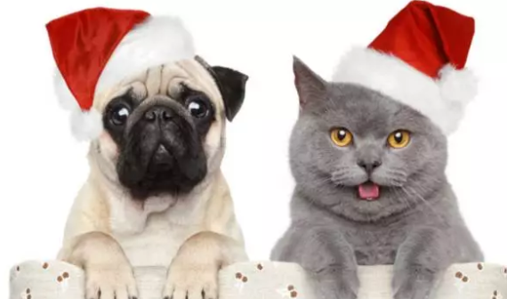 幼兒園中班平安夜活動方案 2018平安夜幼兒園中班活動方案 幼兒園中班平安夜活動方案 2018平安夜幼兒園中班活動方案