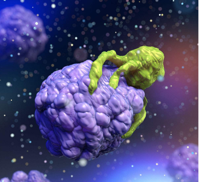 奇葩說邱晨患癌是怎么回事 奇葩說邱晨自爆患有淋巴結