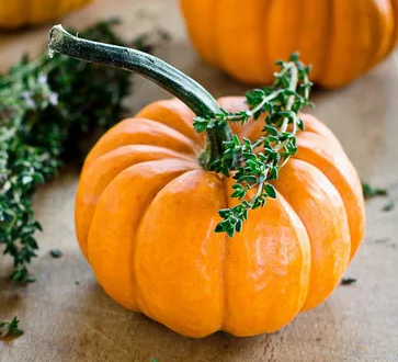 冬季吃什么能增強抵抗力 冬季增強抵抗力吃什么 冬季吃什么能增強抵抗力 冬季增強抵抗力吃什么