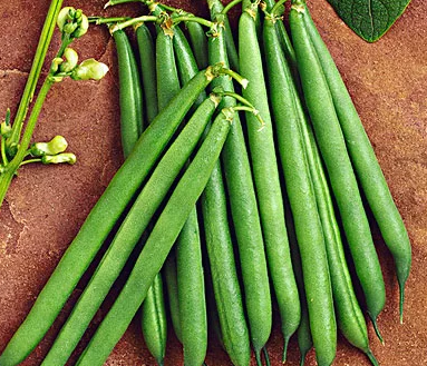 吃什么對胎兒聽力好 孕婦不能吃什么 吃什么對胎兒聽力好 孕婦不能吃什么