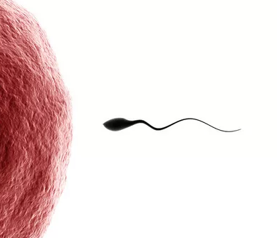 精子的數量有多少個 健康的精子質量標準是什么 精子的數量有多少個 健康的精子質量標準是什么