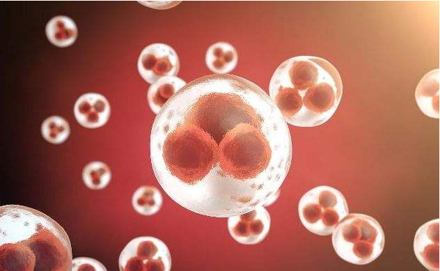 吃了緊急避孕藥為什么還會(huì)懷孕 吃緊急避孕藥會(huì)導(dǎo)致胎兒畸形嗎 吃了緊急避孕藥為什么還會(huì)懷孕 吃緊急避孕藥會(huì)導(dǎo)致胎兒畸形嗎