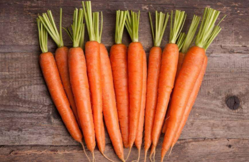 6-12月寶寶吃什么好 6-12月寶寶喂養技巧