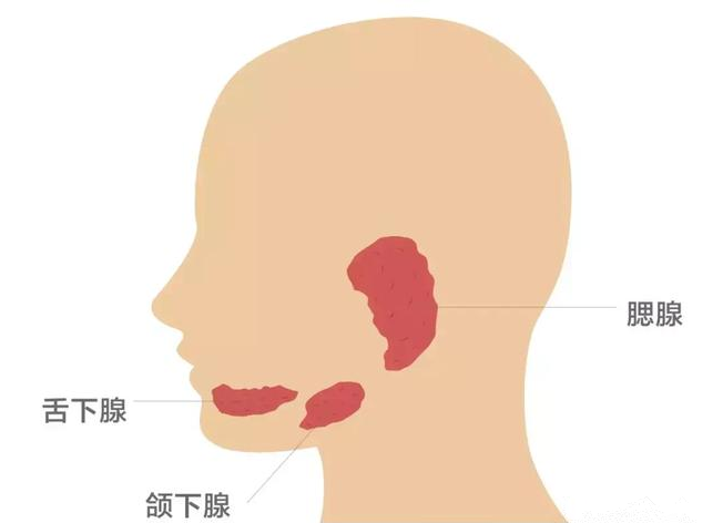 流行性腮腺炎會導致不育嗎 流行性腮腺炎有什么危害