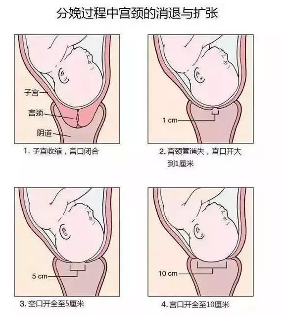 開十指是多少厘米 開十指有多大 開十指是多少厘米 開十指有多大